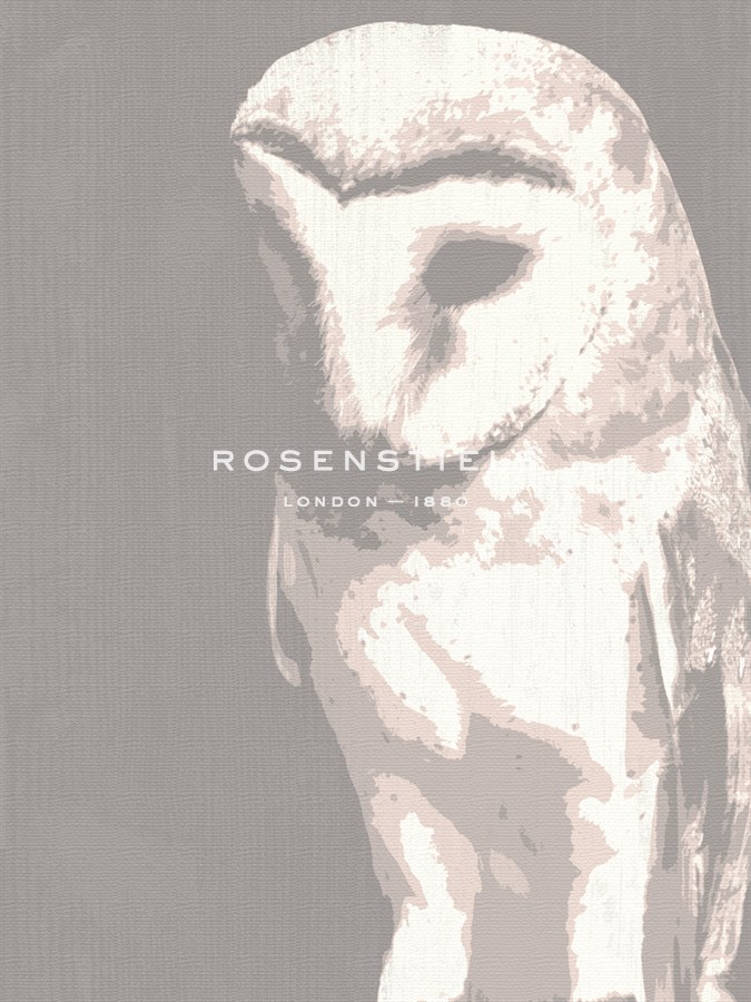 Barn Owl - Sasha Blake
