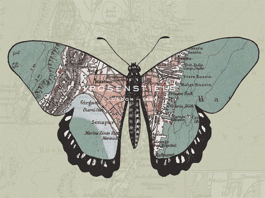 Creature Cartography IV - The Vintage Collection