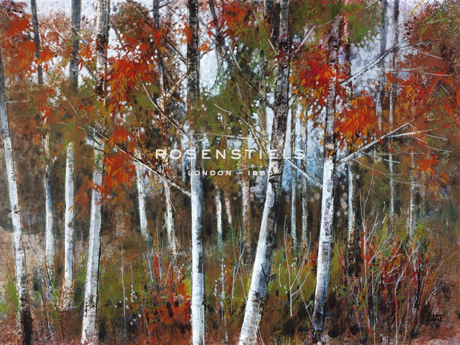 Silver Birches III - Richard Akerman