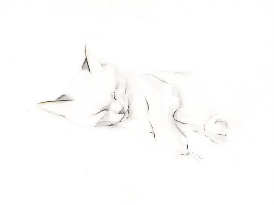 Repose I - Kellas Campbell