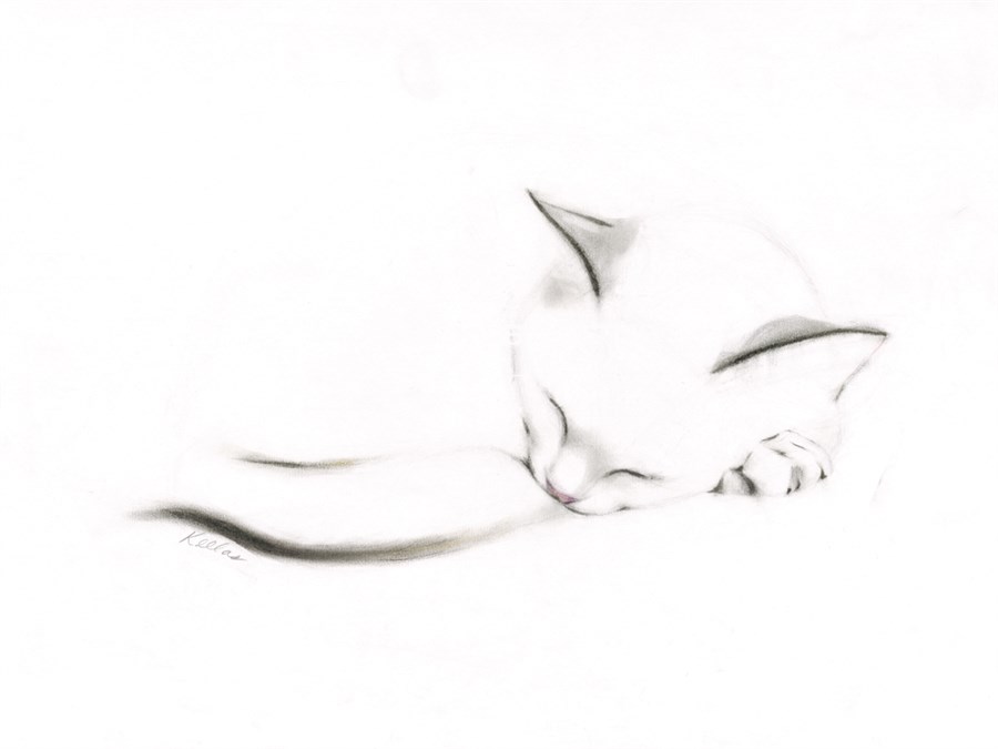 Repose II - Kellas Campbell