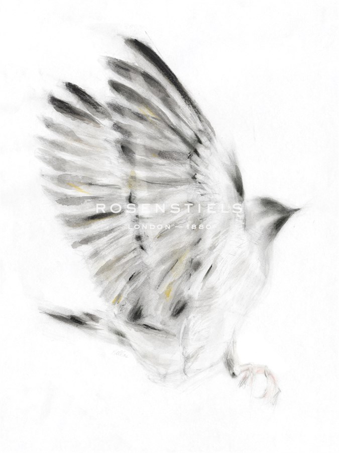 Alight - Kellas Campbell
