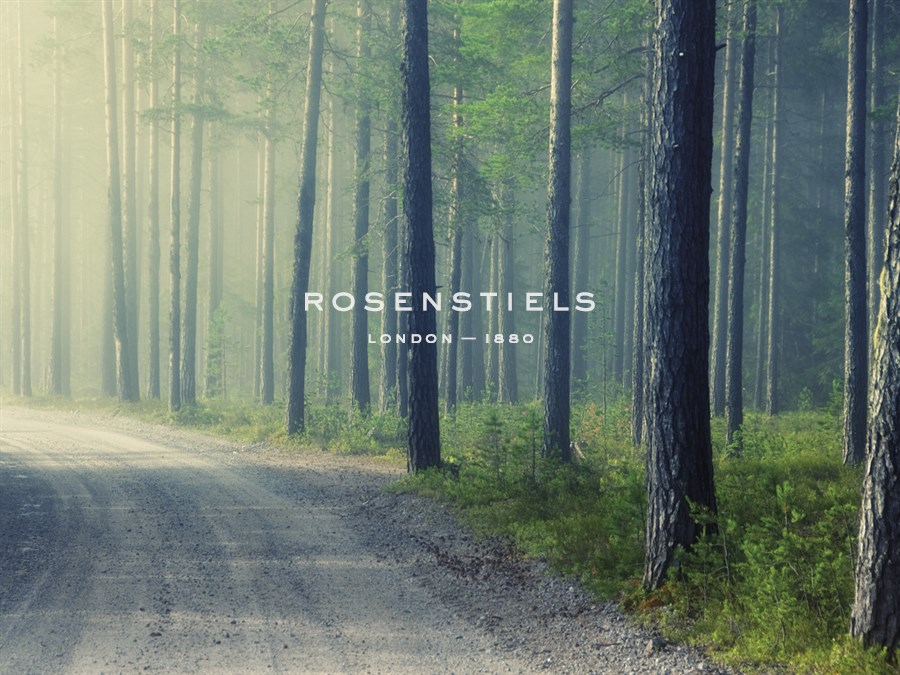 Forest Glade - Andreas Stridsberg