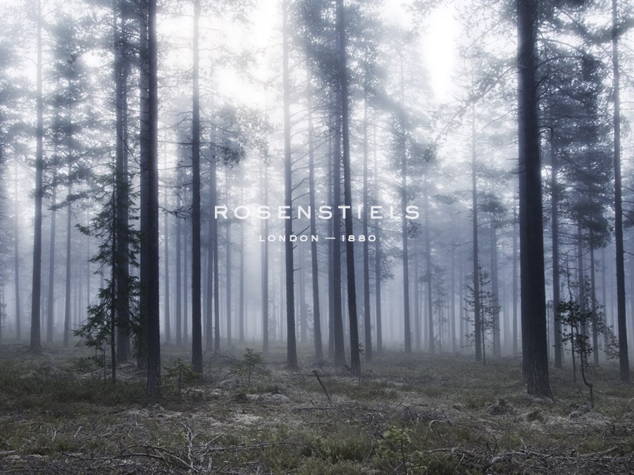 Forest Mists - Andreas Stridsberg