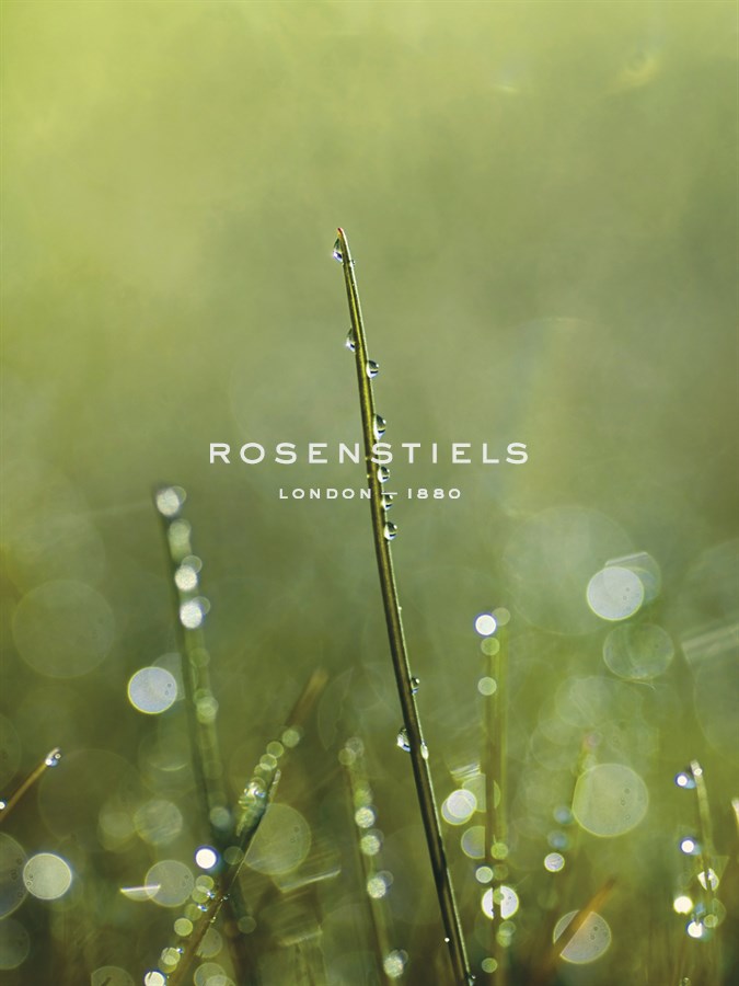 Dew - Andreas Stridsberg