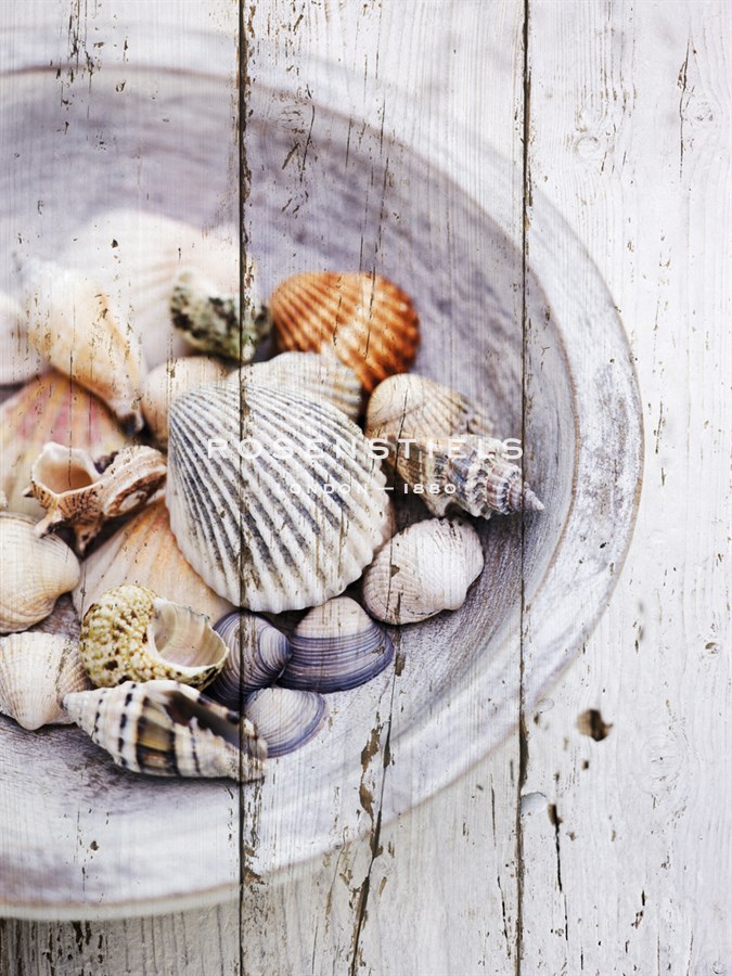 Nantucket Shells I - James Guilliam