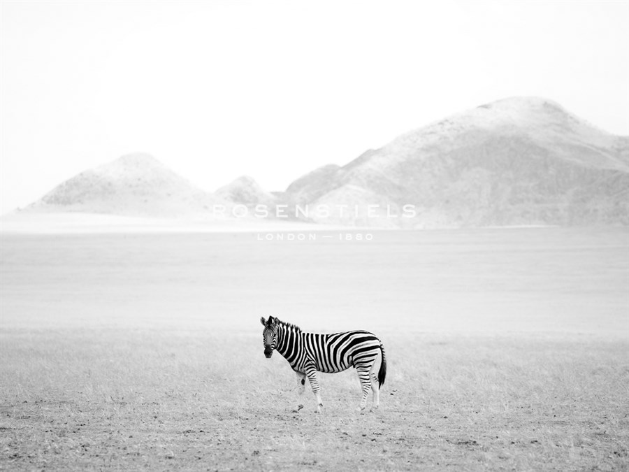 Roaming Free - Lee Frost