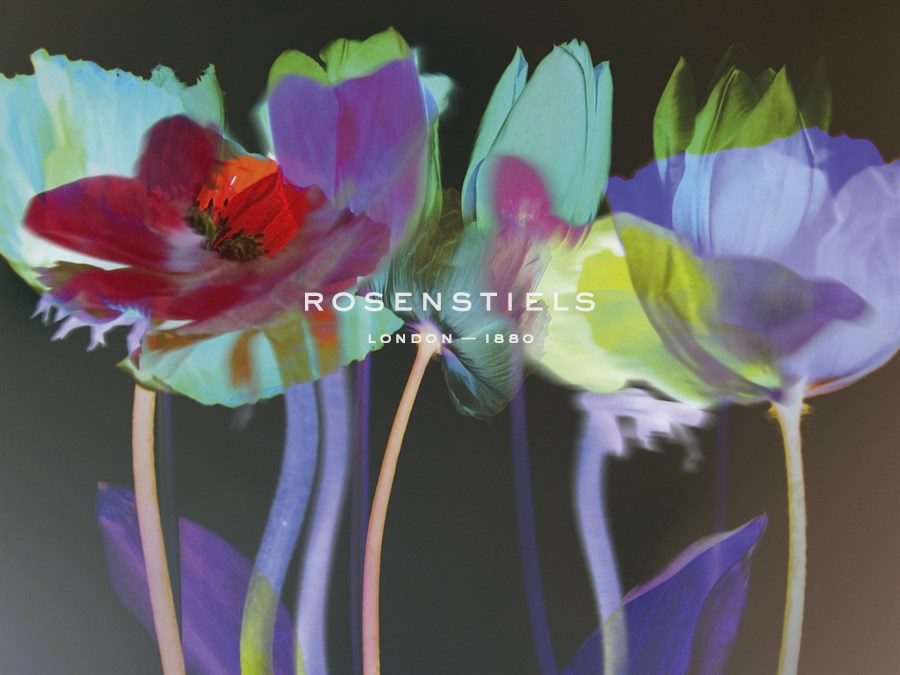Tulip Blaze - Katja Marzahn