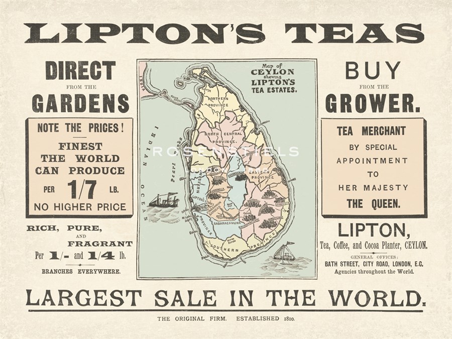 Tea Sale - The Vintage Collection