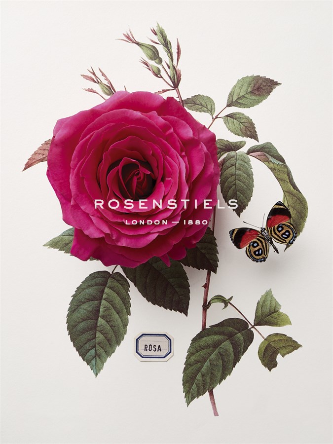 Floral Decoupage - Rosa - Camille Soulayrol