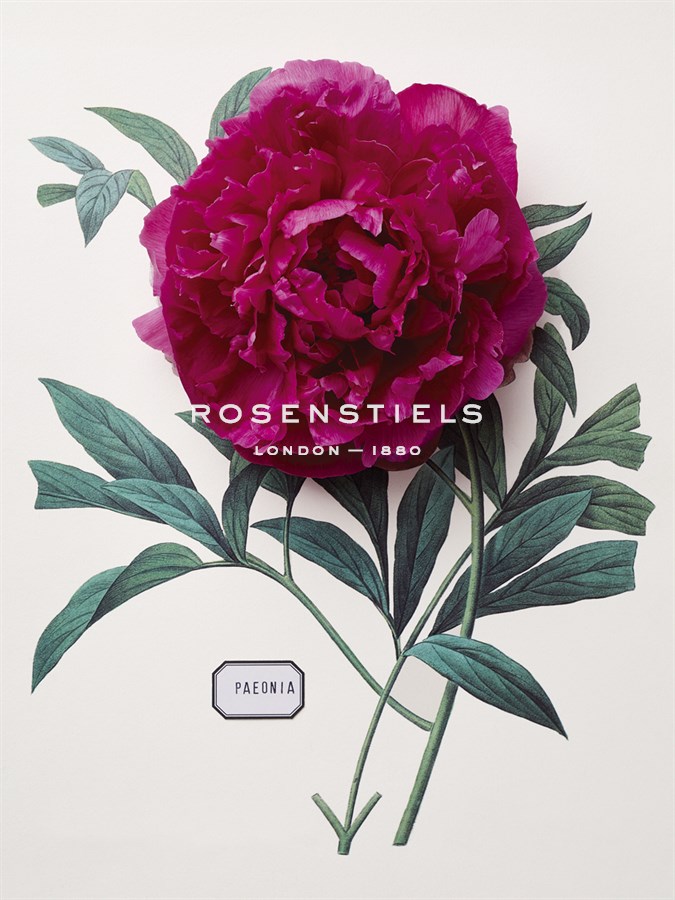 Floral Decoupage - Paeonia - Camille Soulayrol