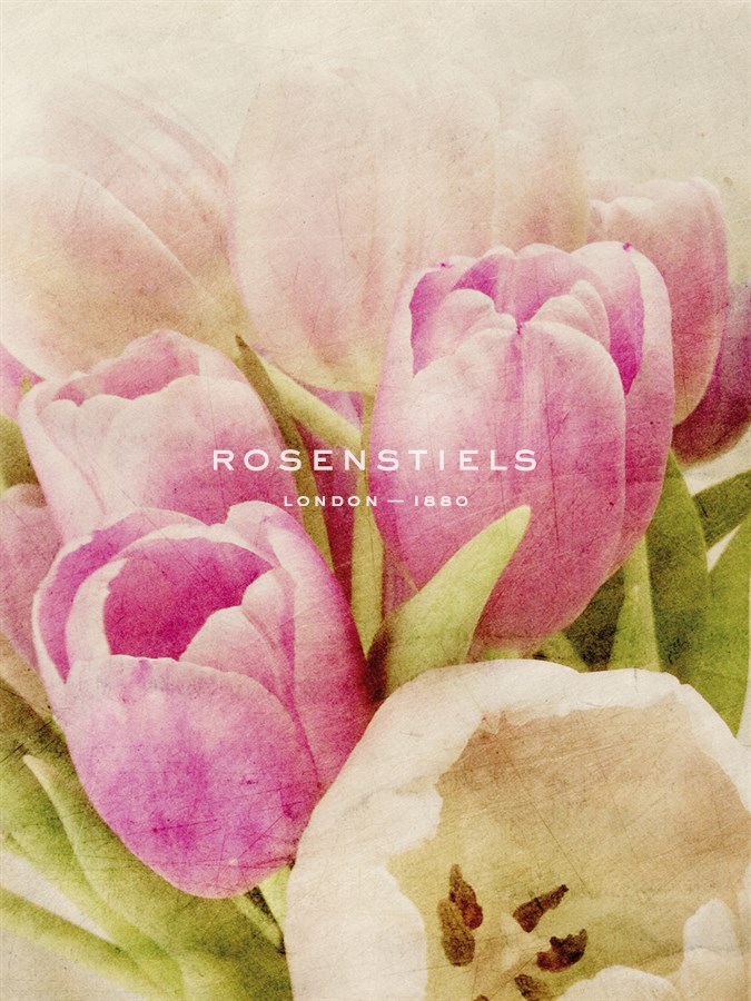 Vintage Tulip I - Collezione Botanica