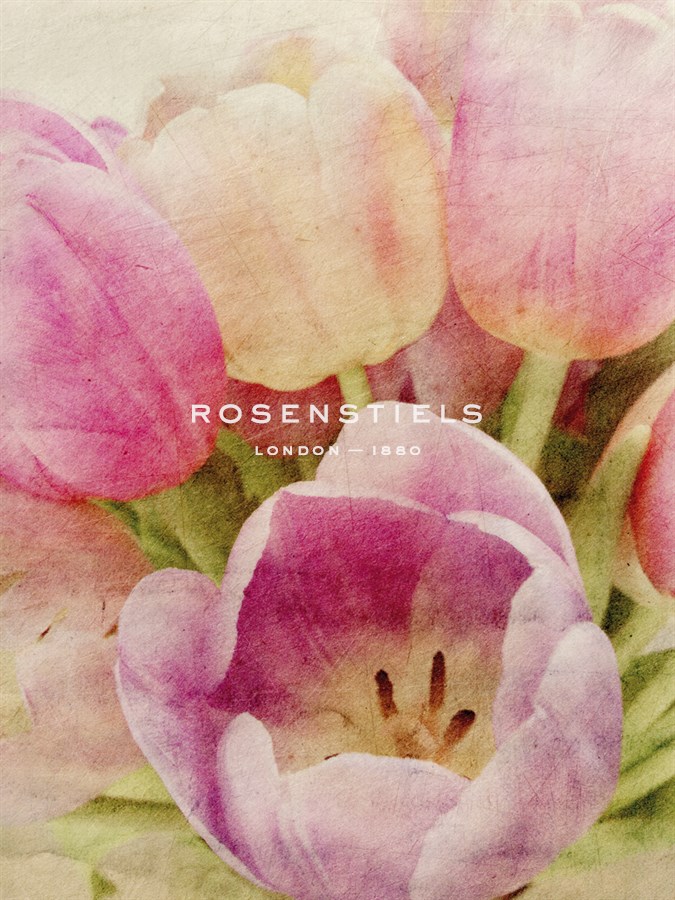 Vintage Tulip II - Collezione Botanica