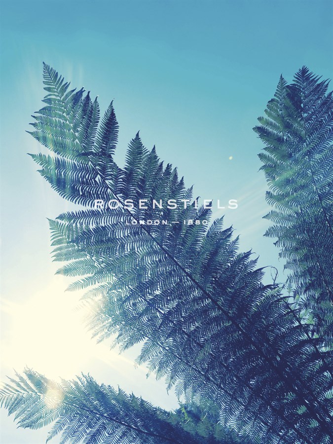 Tropical Paradise II - Ella Lancaster