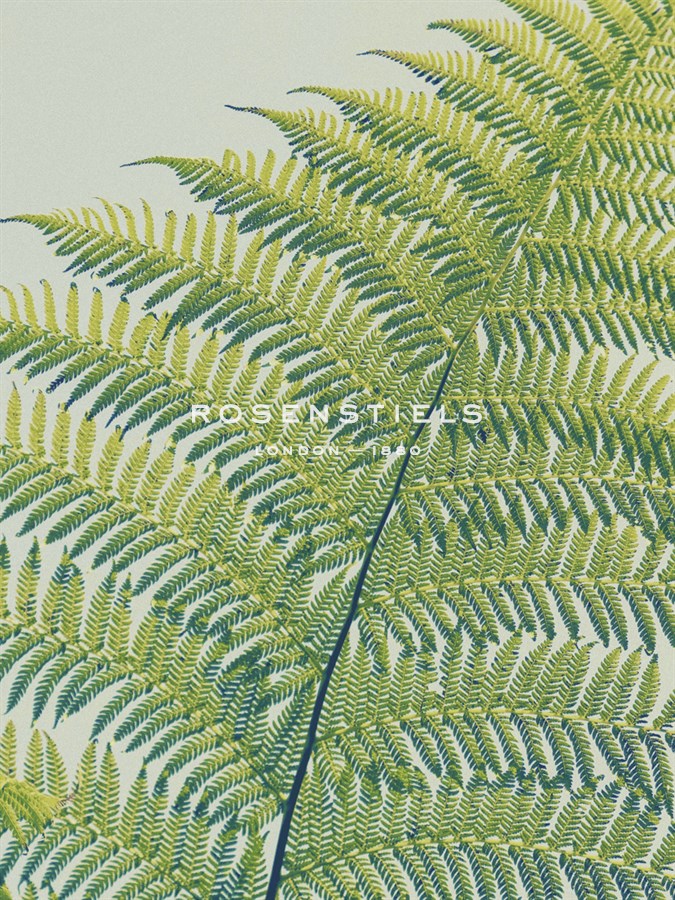 Frond II - Ella Lancaster