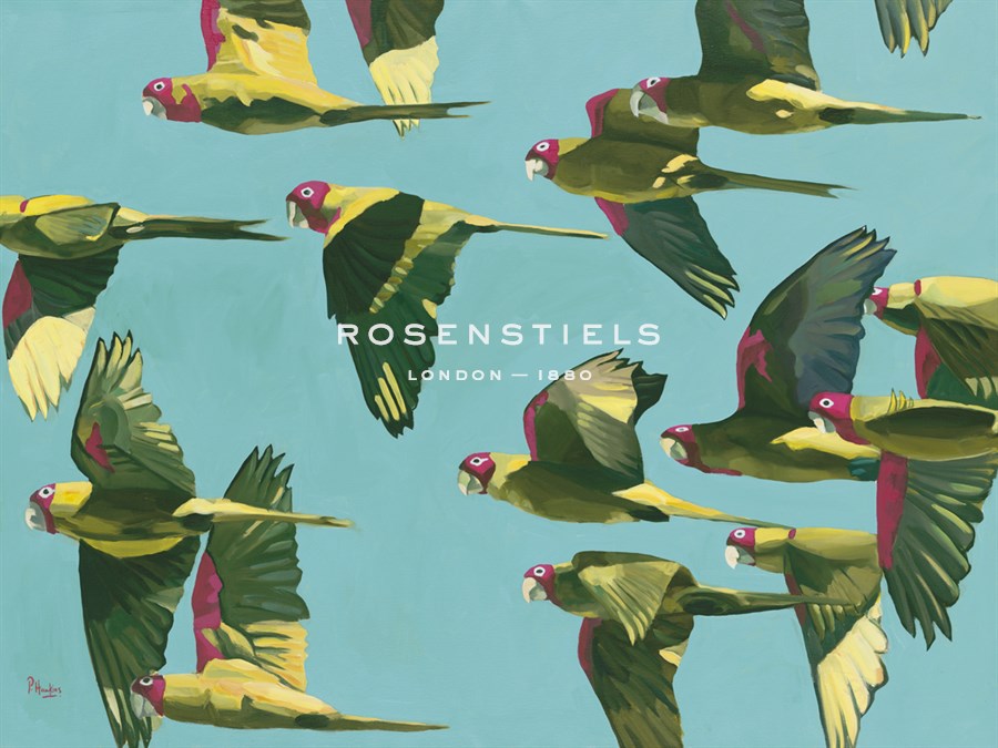 Parrots in Flight - Retro - Pete Hawkins