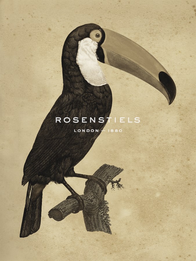 The Vintage Toucan I - Maria Mendez