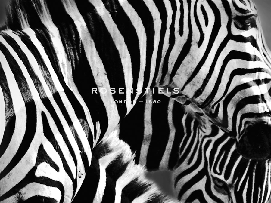 Mirage - Detail - Bobbie Goodrich