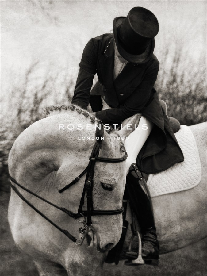 Dressage - The Transition - Pete Kelly