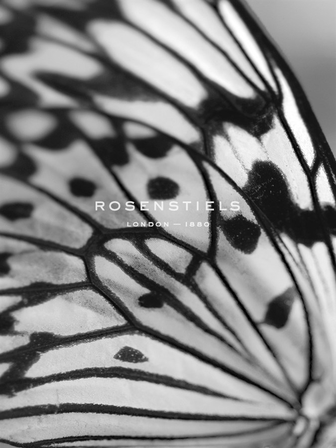 Flutter - Ella Lancaster