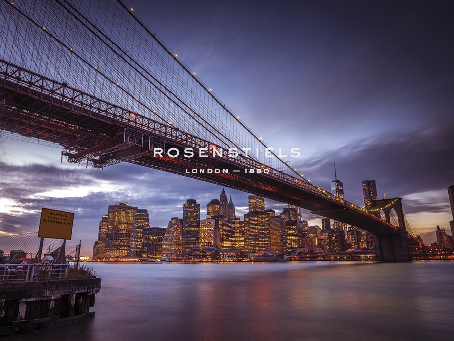 Towards New York - Assaf Frank