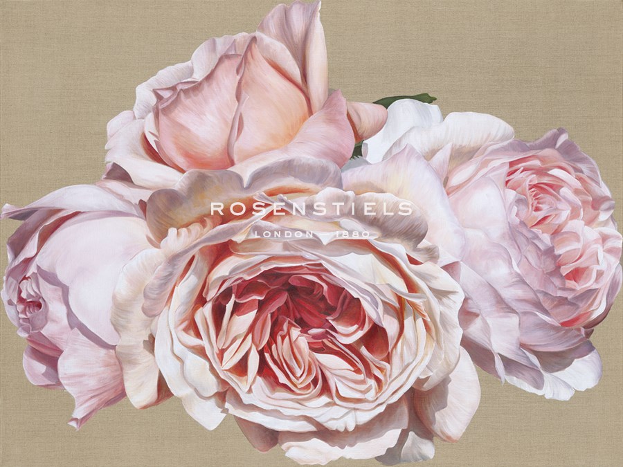 Roseate Dreaming - Sarah Caswell