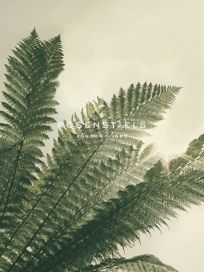 Forest Haven I - Ella Lancaster