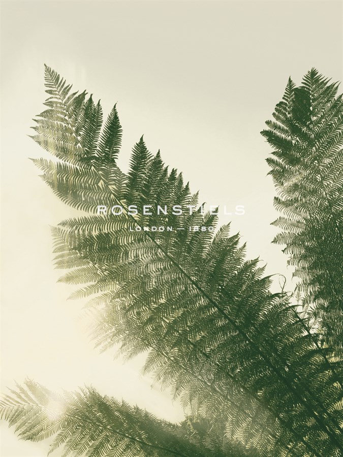 Forest Haven II - Ella Lancaster