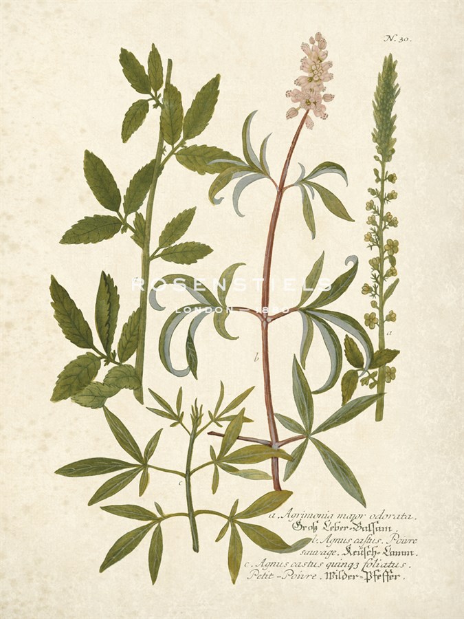 Botanica Agrimonia - The Vintage Collection