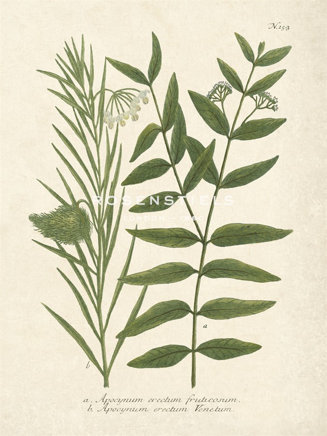 Botanica Indicum - The Vintage Collection