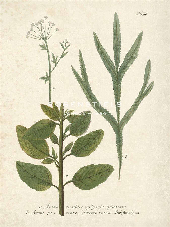 Botanica Amaranthus - The Vintage Collection