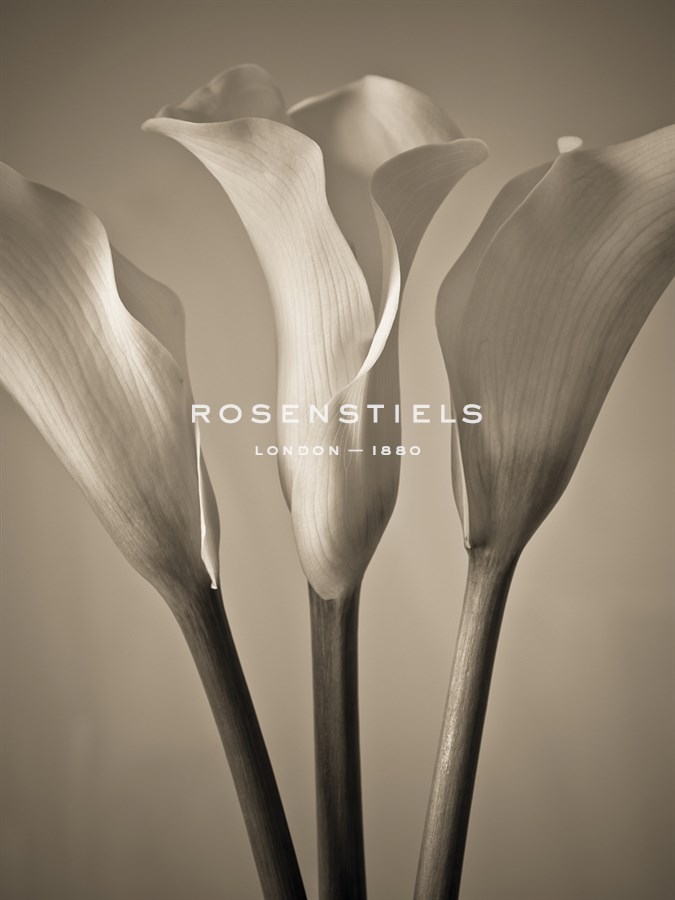 Calla Lilies - Assaf Frank