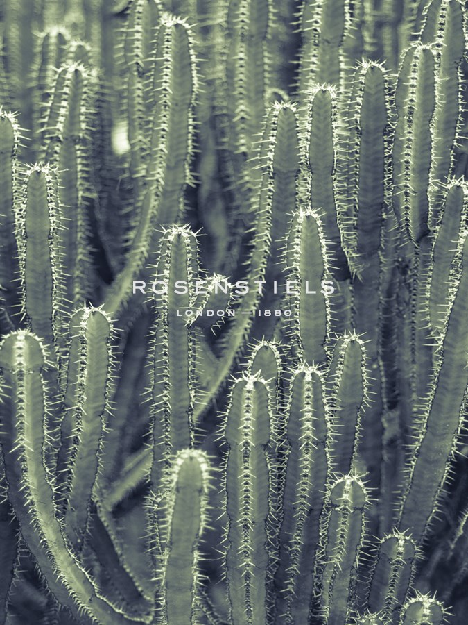 Tule - Ella Lancaster