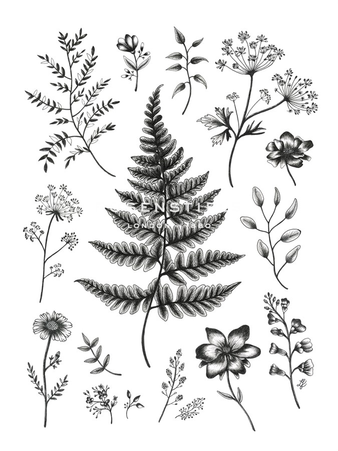 Herbarium - Lucy Francis