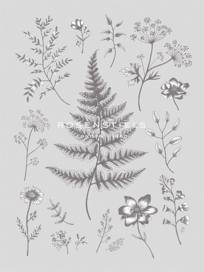 Herbarium Twilight - Lucy Francis