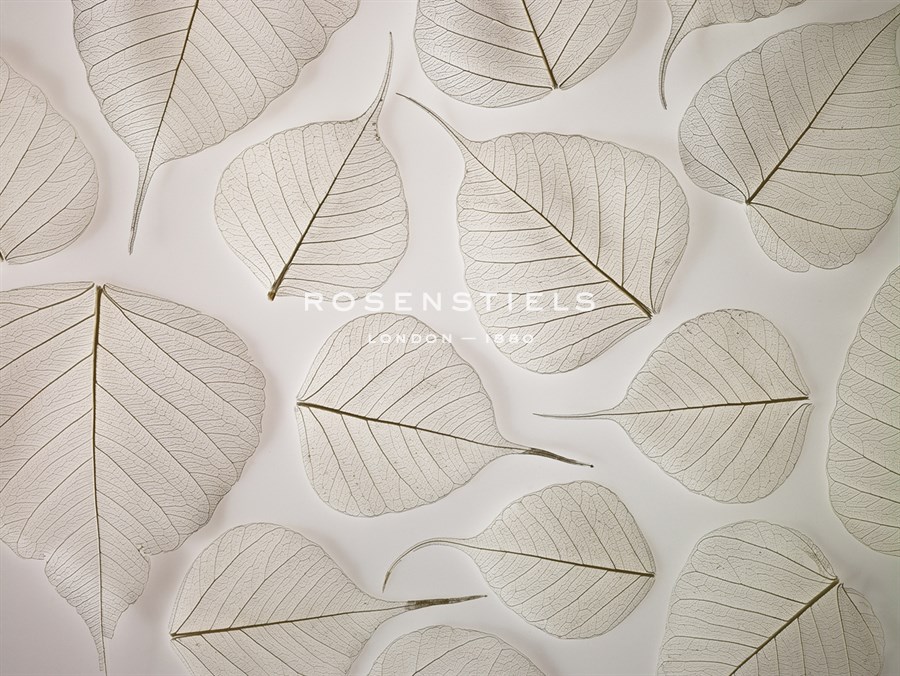 Tracery - Assaf Frank
