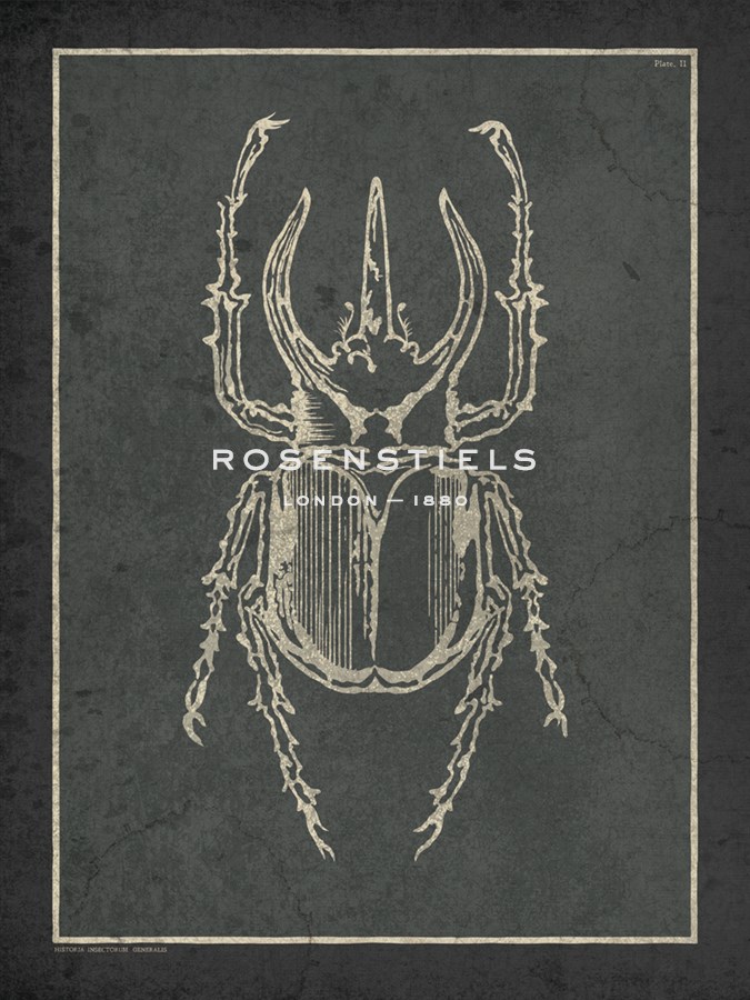 Historia Insectorum Generalis II - The Vintage Collection