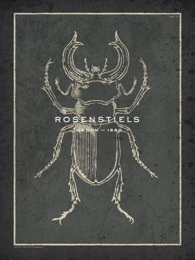 Historia Insectorum Generalis III - The Vintage Collection