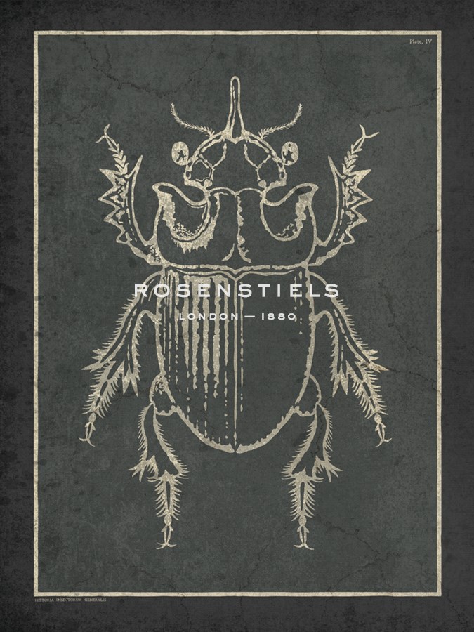 Historia Insectorum Generalis IV - The Vintage Collection