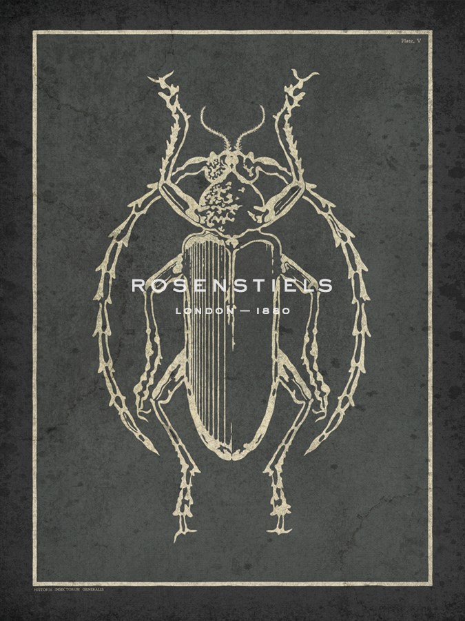 Historia Insectorum Generalis V - The Vintage Collection