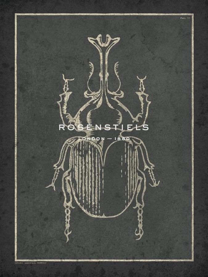 Historia Insectorum Generalis VI - The Vintage Collection