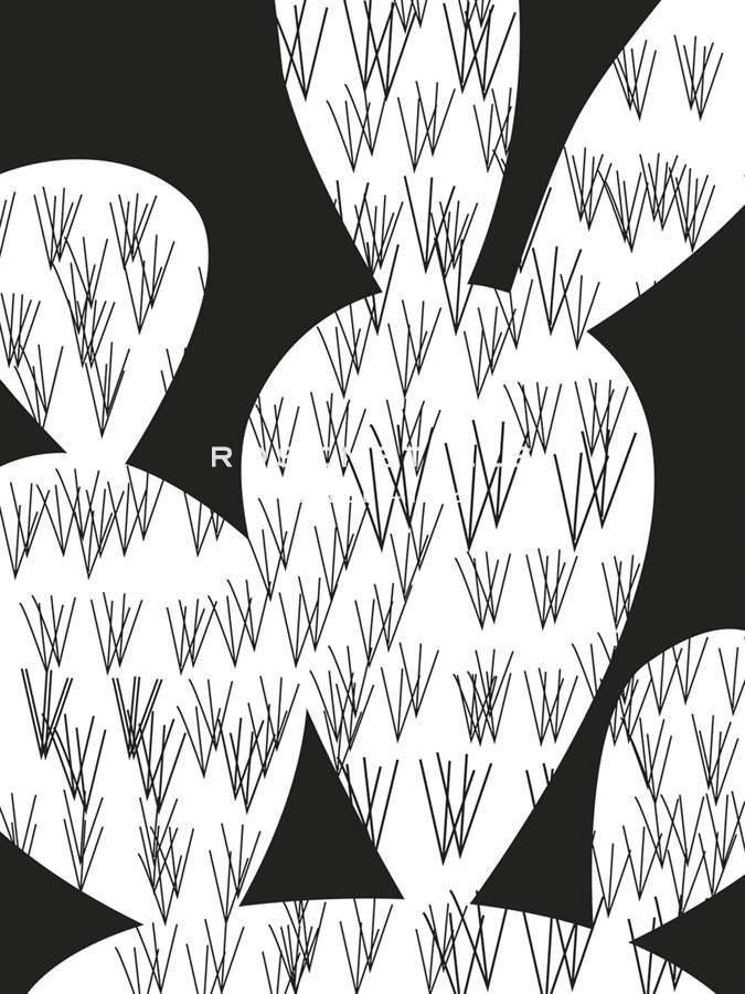 Graphic Opuntia - Sophie Ledesma