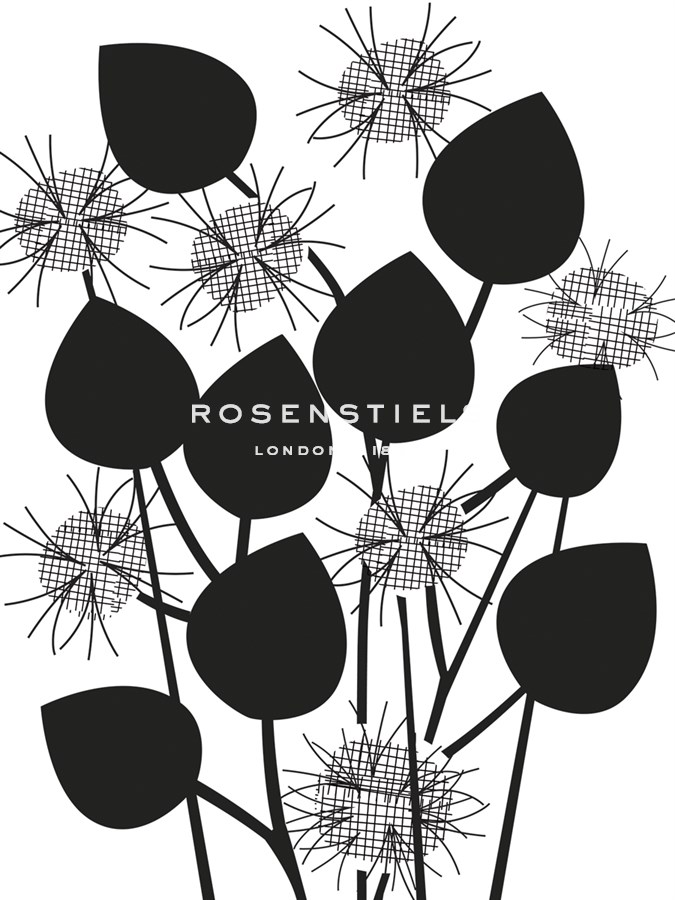Graphic Nigella - Sophie Ledesma