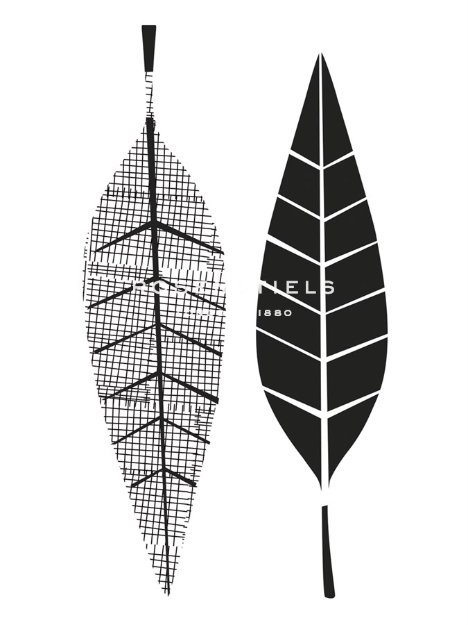 Graphic Willow - Sophie Ledesma