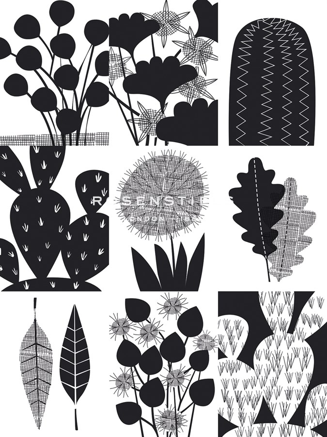 Cacti Composite - Sophie Ledesma