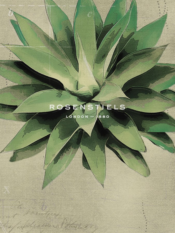 Botanical Study - The Vintage Collection
