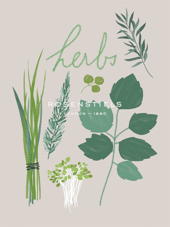 Collection of Herbs - Laure Girardin Vissian
