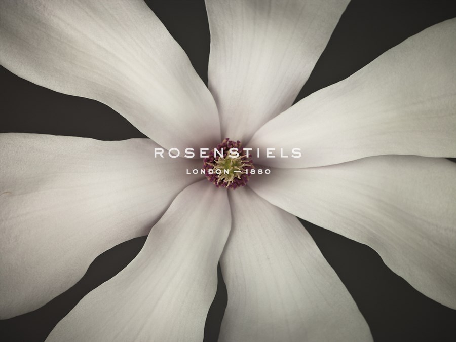 Magnolia Focus - Assaf Frank