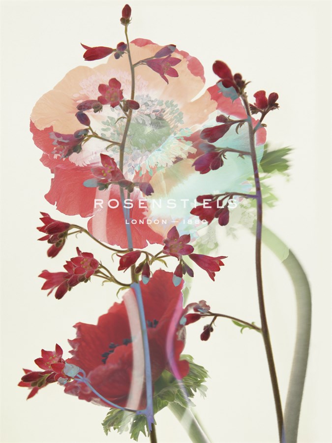 Floral Overlay - Katja Marzahn