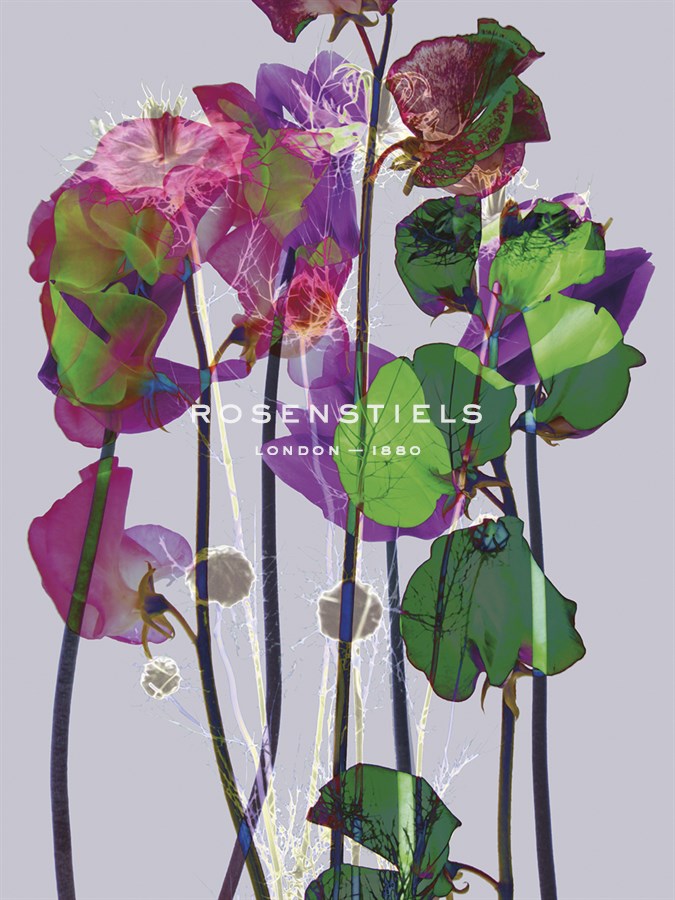 Luminous Garden - Katja Marzahn